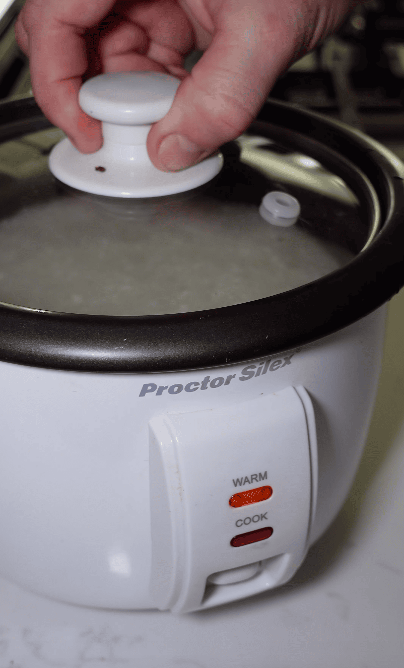 A rice cooker.