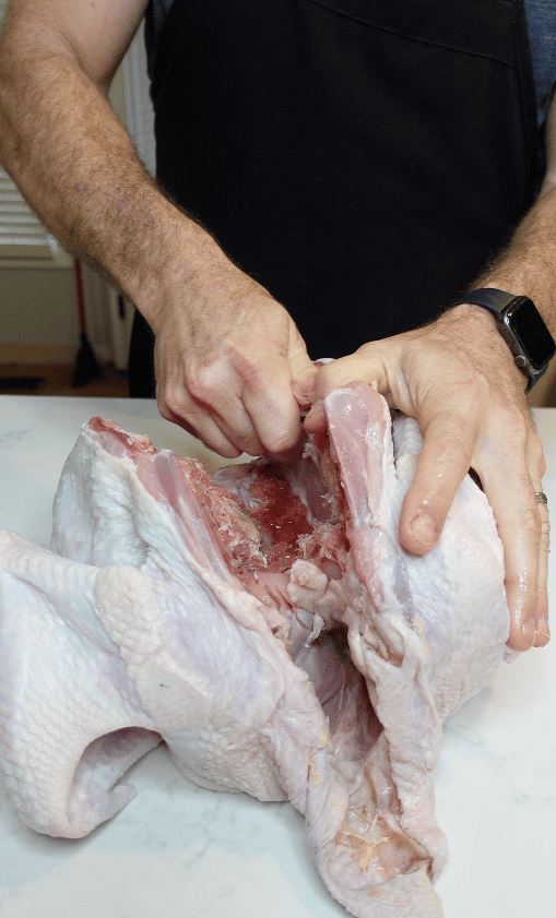 Turkey cut in half.