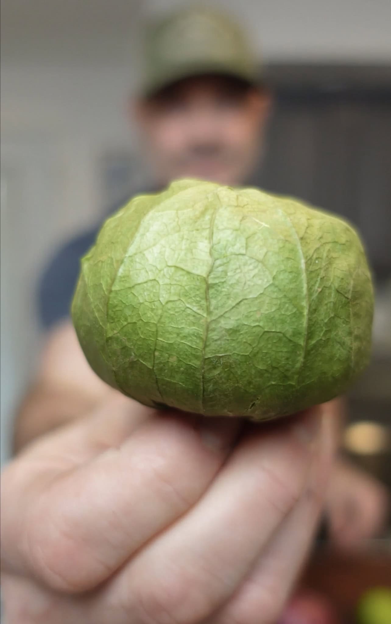 A green tomatillo.
