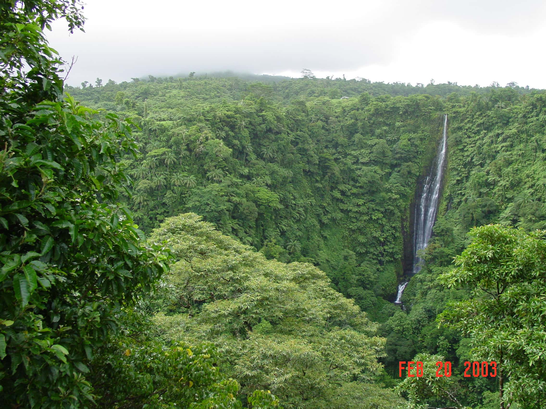 A waterfall in the forest.