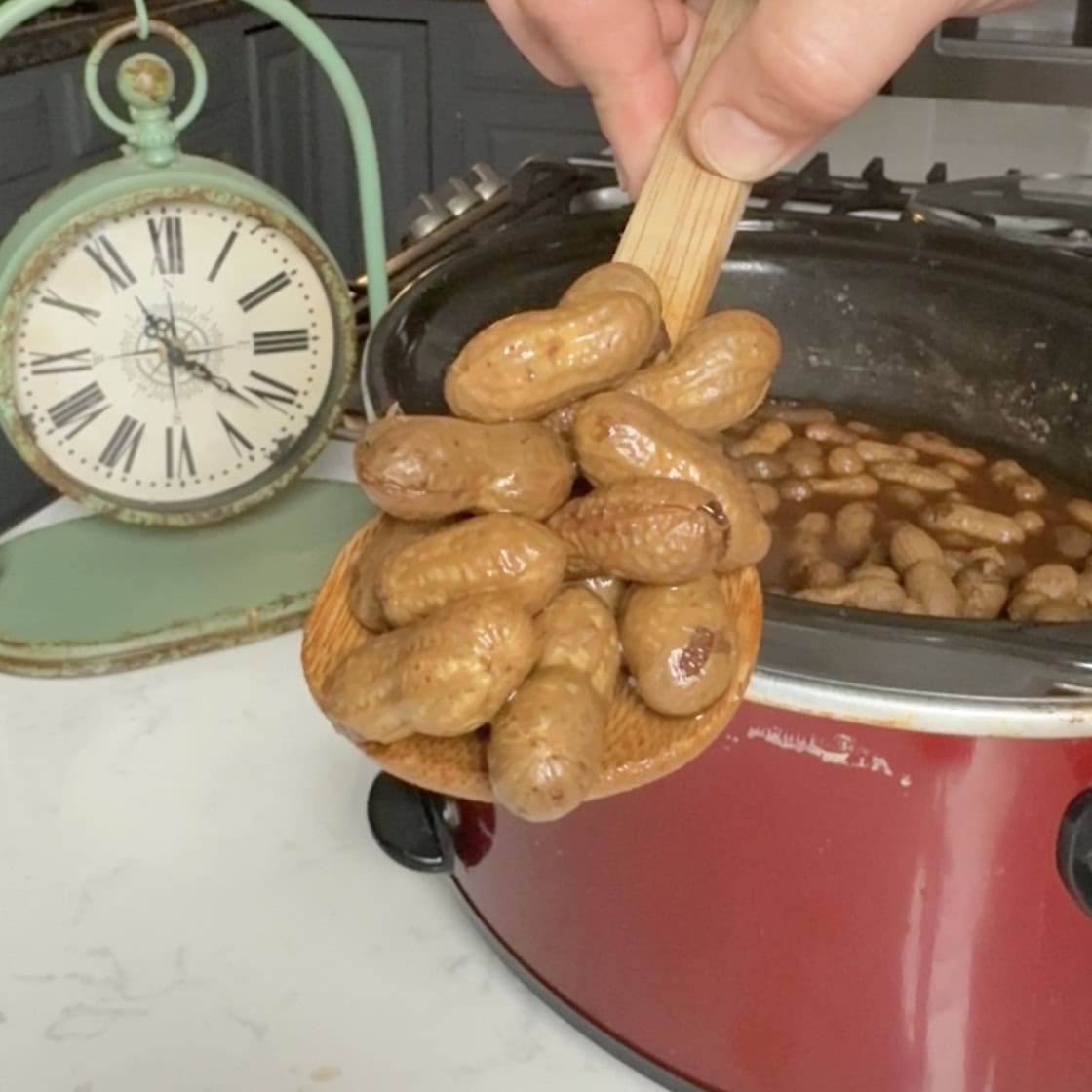 A spoonful of boiled peanuts out of the crockpot.