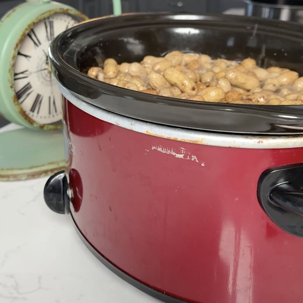 Crockpot full of peanuts cooking.