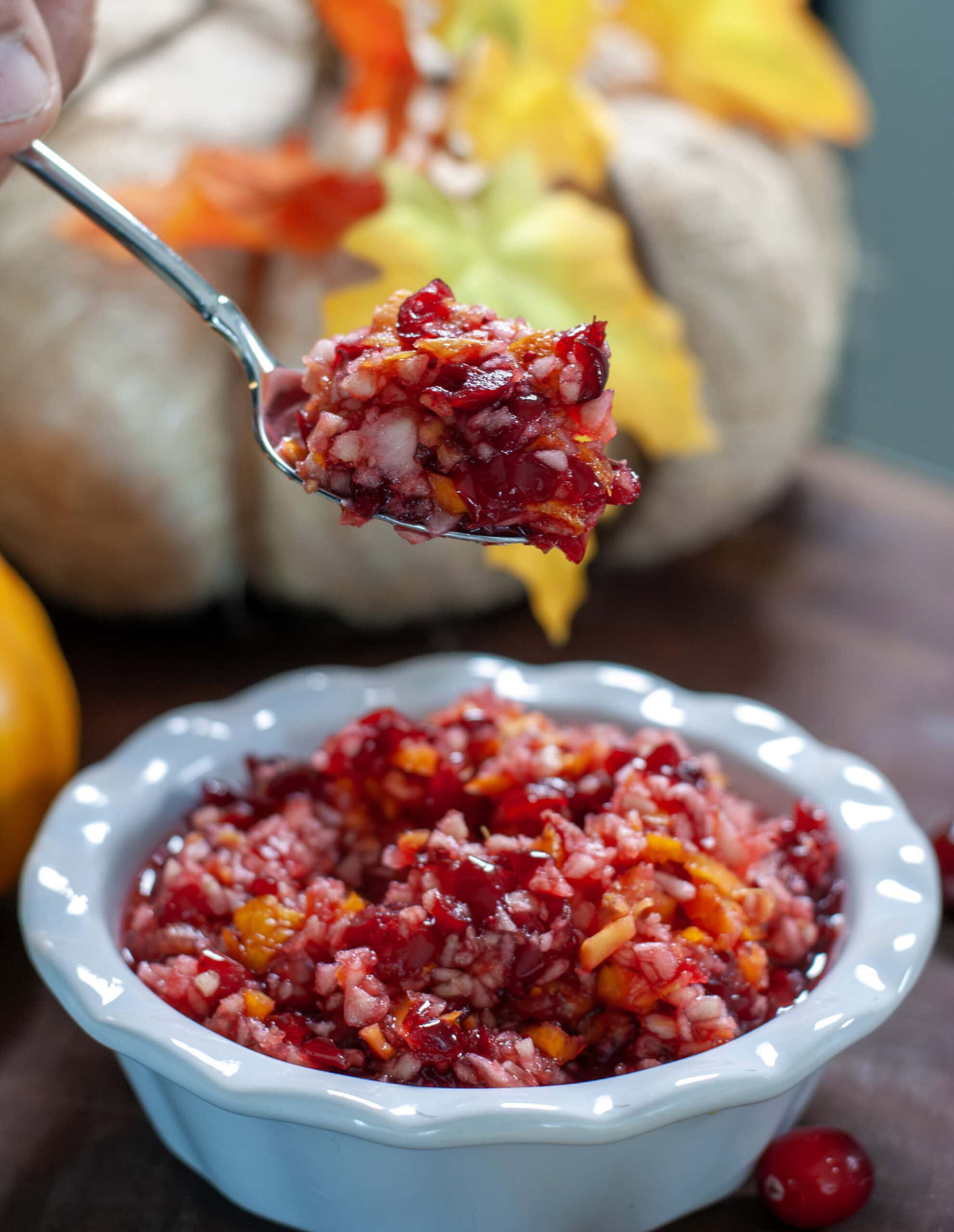 A scoop of cranberry relish in a white bowl.