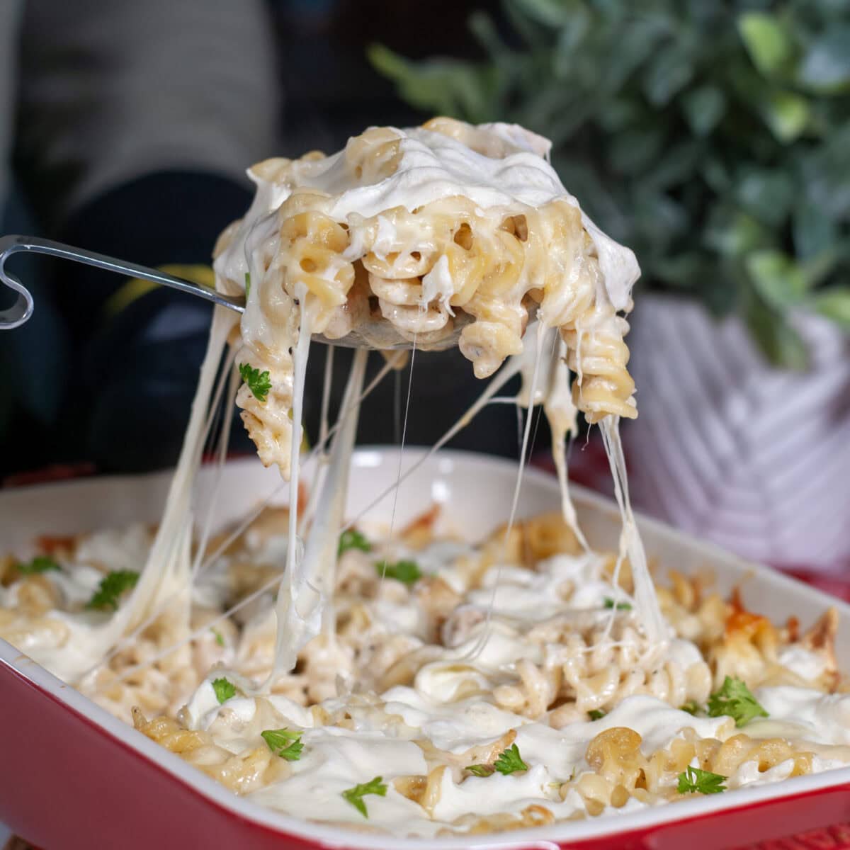 A scoop of cheesy chicken Alfredo and pasta.