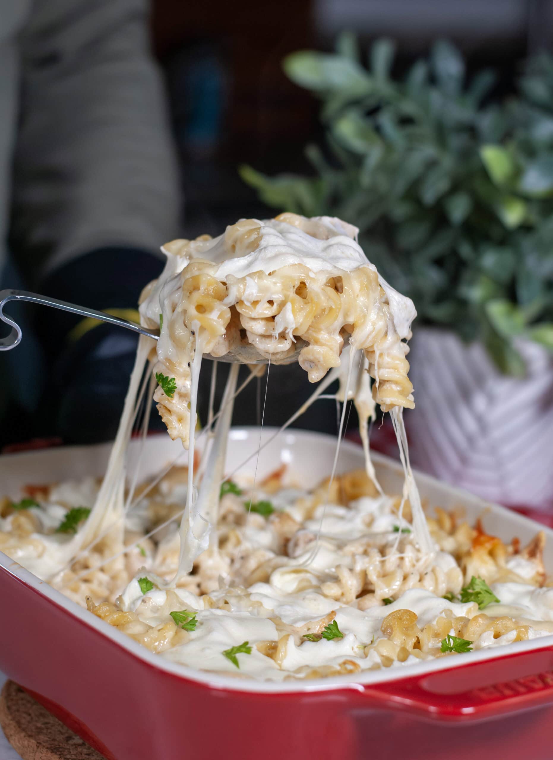 A scoop of mozzarella over a dish of chicken Alfredo.