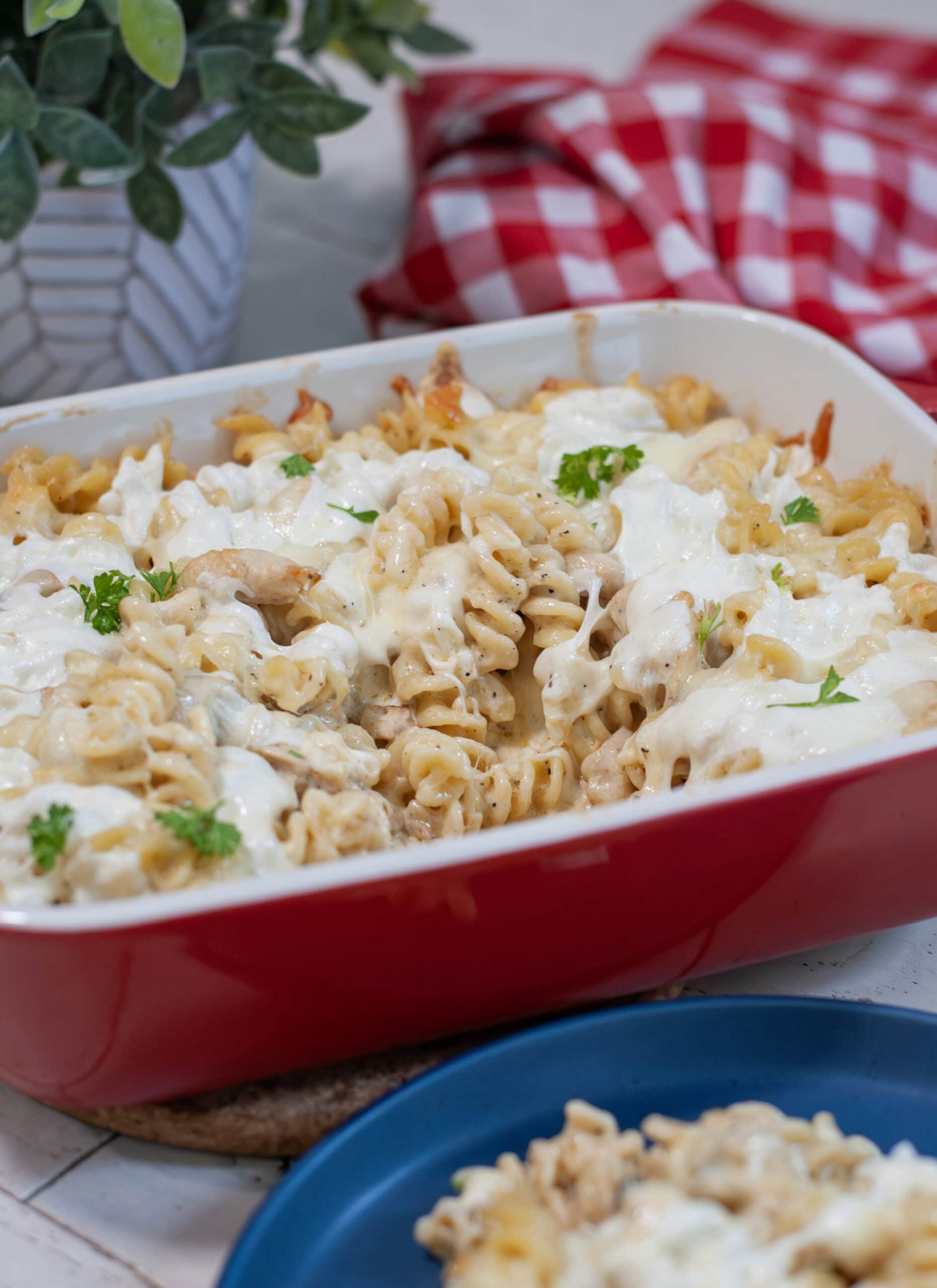A baked chicken and Alfredo pasta in a red baking dish.
