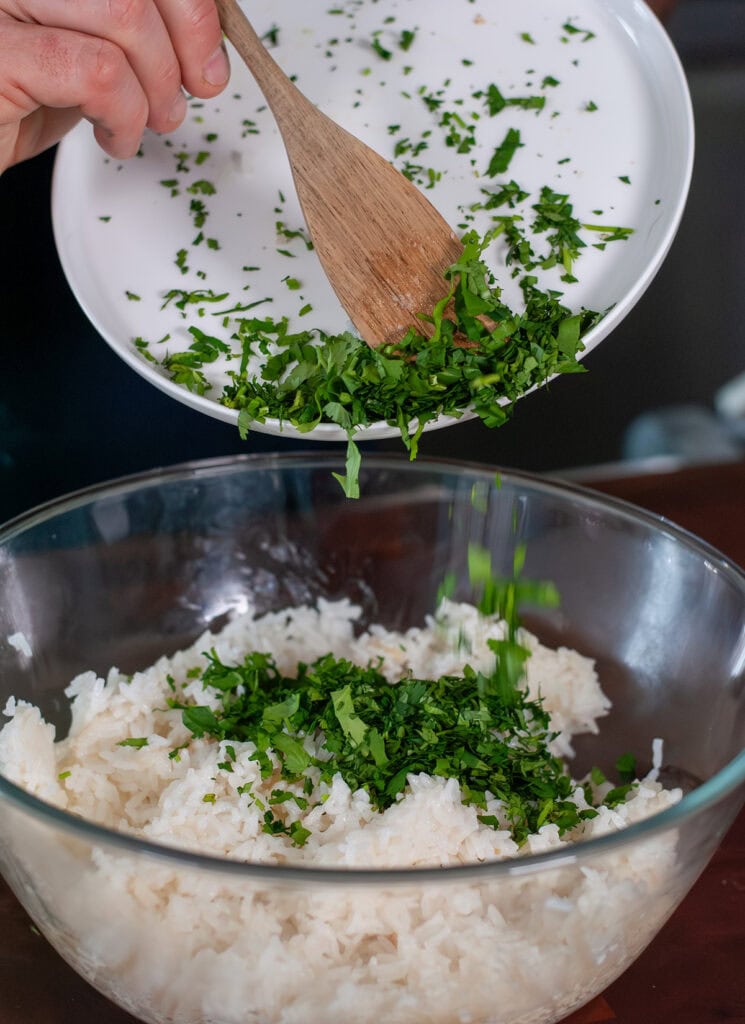 Cilantro pouring over white rice.