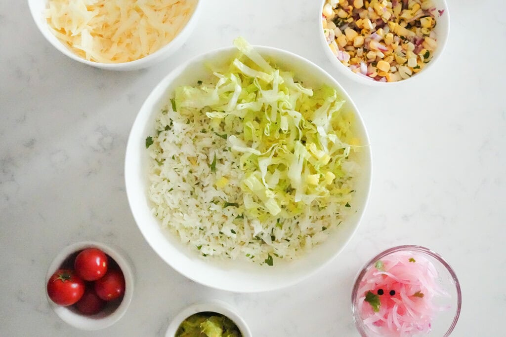 Overhead image of ingredients for chipotle chicken bowl.